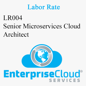 LR004 Senior Microservices Cloud Architect