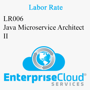 LR006 Java Microservice Architect II