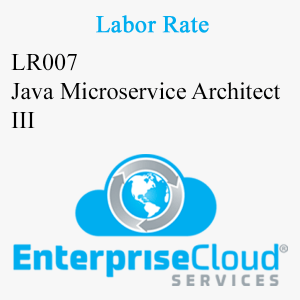 LR007 Java Microservice Architect III