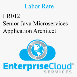 LR012 Senior Java Microservices Application Architect