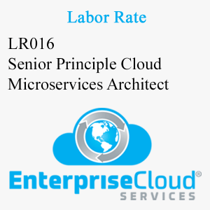 LR016 Senior Principle Cloud Microservices Architect