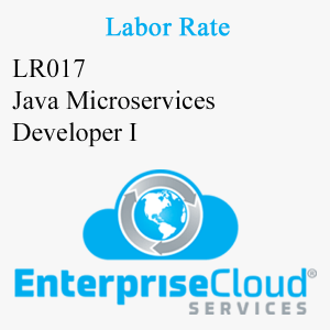 LR017 Java Microservices Developer I
