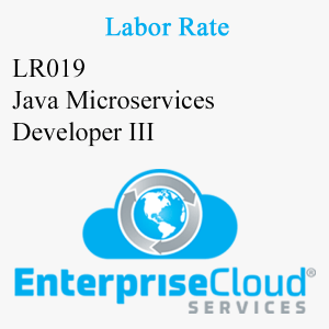 LR019 Java Microservices Developer III