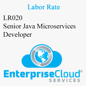 LR020 Senior Java Microservices Developer