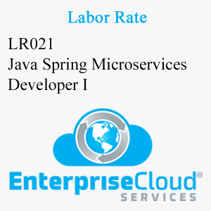 LR021 Java Spring Microservices Developer I