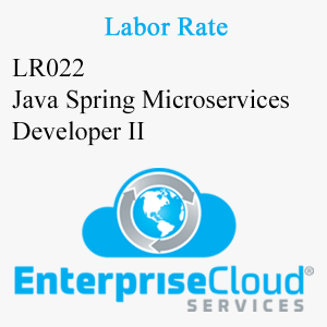 LR022 Java Spring Microservices Developer II