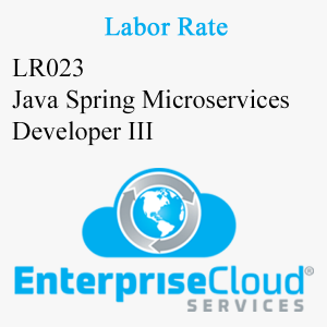 LR023 Java Spring Microservices Developer III