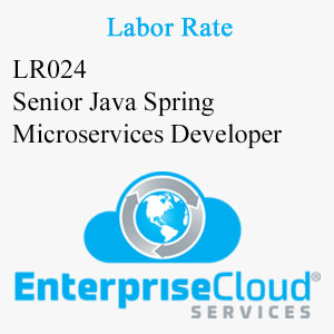 LR024 Senior Java Spring Microservices Developer