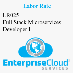 LR025 Full Stack Microservices Developer I