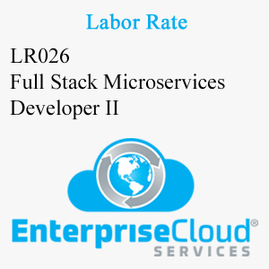 LR026 Full Stack Microservices Developer II