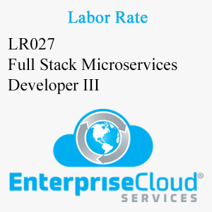 LR027 Full Stack Microservices Developer III