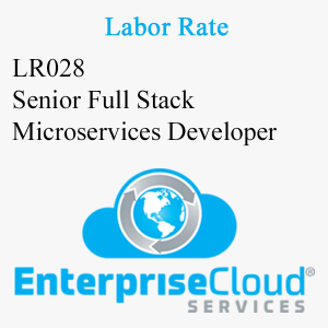 LR028 Senior Full Stack Microservices Developer