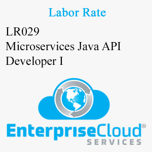 LR029 Microservices Java API Developer I