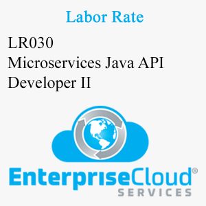 LR030 Microservices Java API Developer II