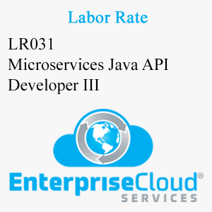 LR031 Microservices Java API Developer III
