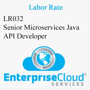LR032 Senior Microservices Java API Developer