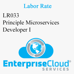LR033 Principle Microservices Developer I
