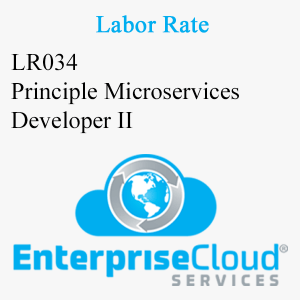 LR034 Principle Microservices Developer II