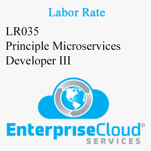 LR035 Principle Microservices Developer III