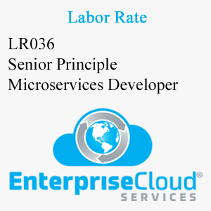 LR036 Senior Principle Microservices Developer