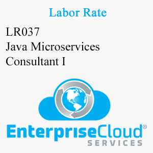 LR037 Java Microservices Consultant I