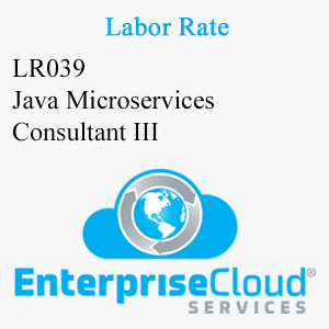 LR039 Java Microservices Consultant III