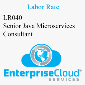 LR040 Senior Java Microservices Consultant