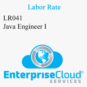 LR041 Java Engineer I