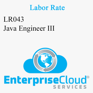 LR043 Java Engineer III