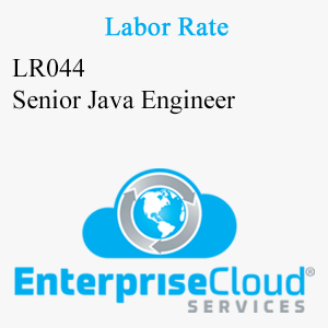 LR044 Senior Java Engineer