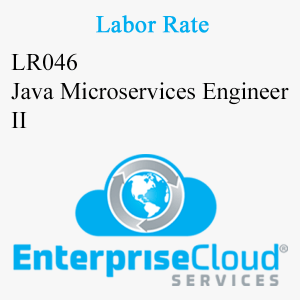 LR046 Java Microservices Engineer II