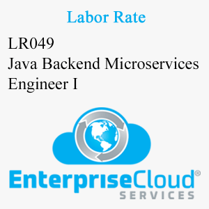 LR049 Java Backend Microservices Engineer I