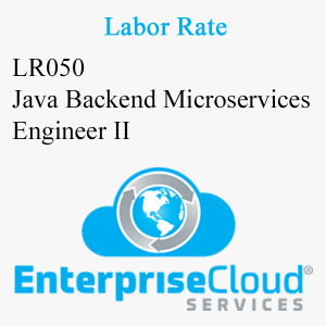 LR050 Java Backend Microservices Engineer II