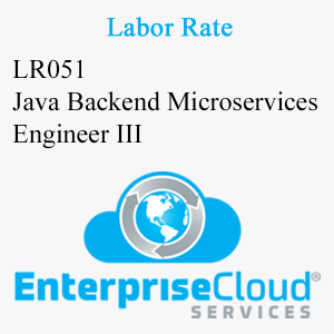 LR051 Java Backend Microservices Engineer III