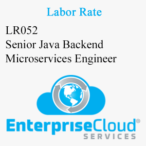 LR052 Senior Java Backend Microservices Engineer