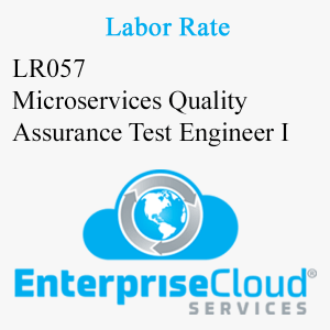 LR057 Microservices Quality Assurance Test Engineer I