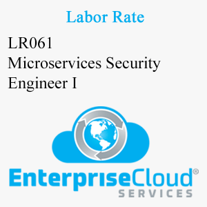 LR061 Microservices Security Engineer I