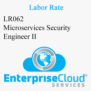 LR062 Microservices Security Engineer II