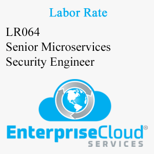 LR064 Senior Microservices Security Engineer