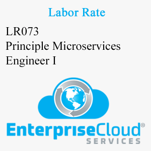 LR073 Principle Microservices Engineer I