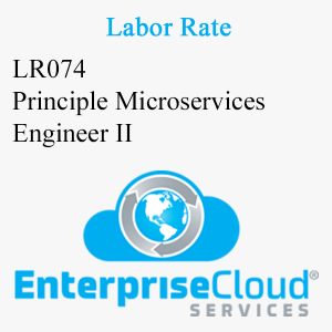 LR074 Principle Microservices Engineer II