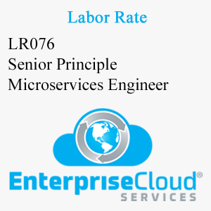 LR076 Senior Principle Microservices Engineer