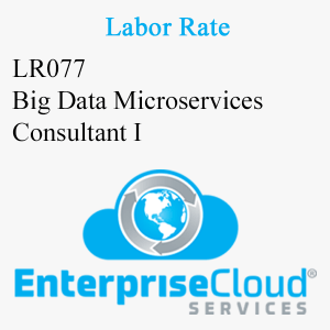 LR077 Big Data Microservices Consultant I