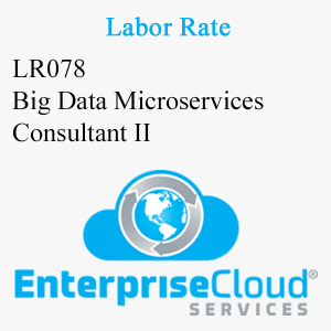 LR078 Big Data Microservices Consultant II