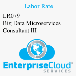LR079 Big Data Microservices Consultant III