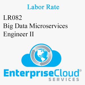 LR082 Big Data Microservices Engineer II