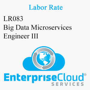 LR083 Big Data Microservices Engineer III
