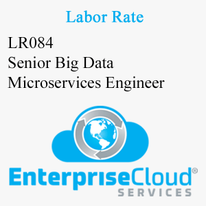 LR084 Senior Big Data Microservices Engineer
