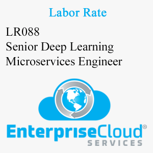 LR088 Senior Deep Learning Microservices Engineer