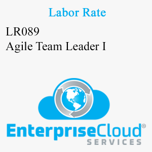 LR089 Agile Team Leader I